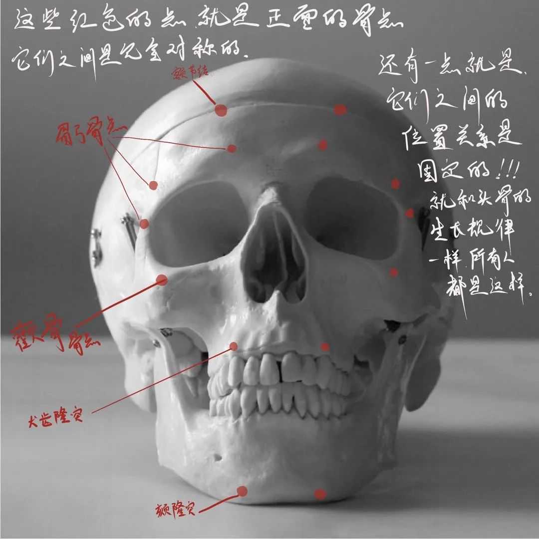 想要拿下校考素描頭像高分嗎？廣州十大畫室教你技巧,10