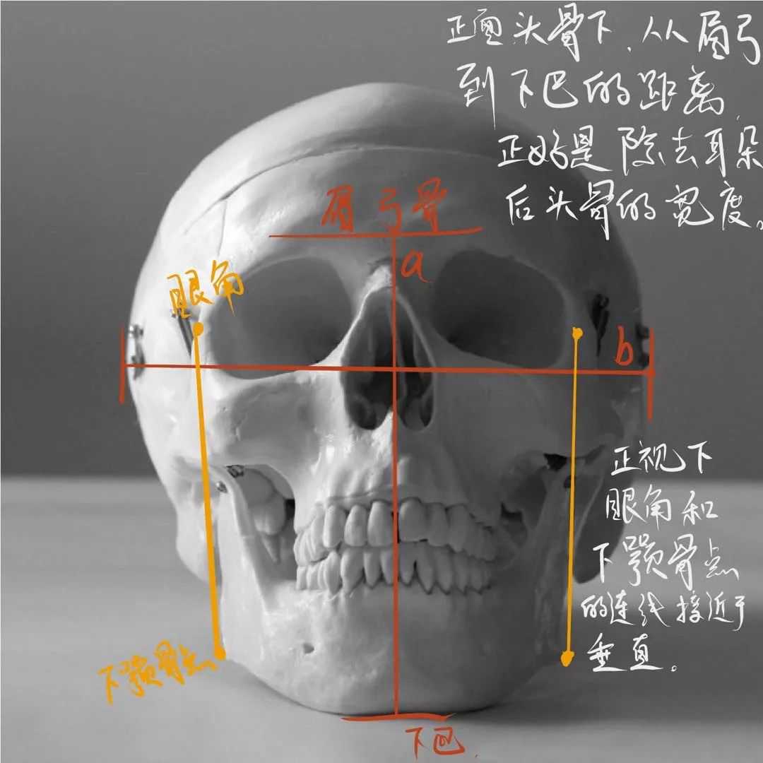 想要拿下校考素描頭像高分嗎？廣州十大畫室教你技巧,05
