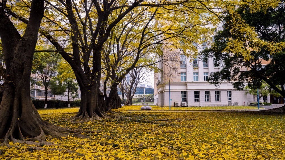 廣東省雙一流大學有哪些招收藝術生？報考院校又需要多少分！圖六