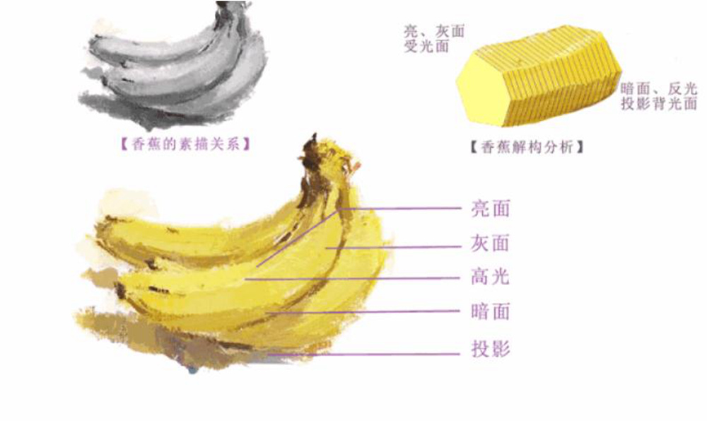 廣州藝考畫室,廣州畫室,廣州色彩美術(shù)培訓(xùn)畫室,03