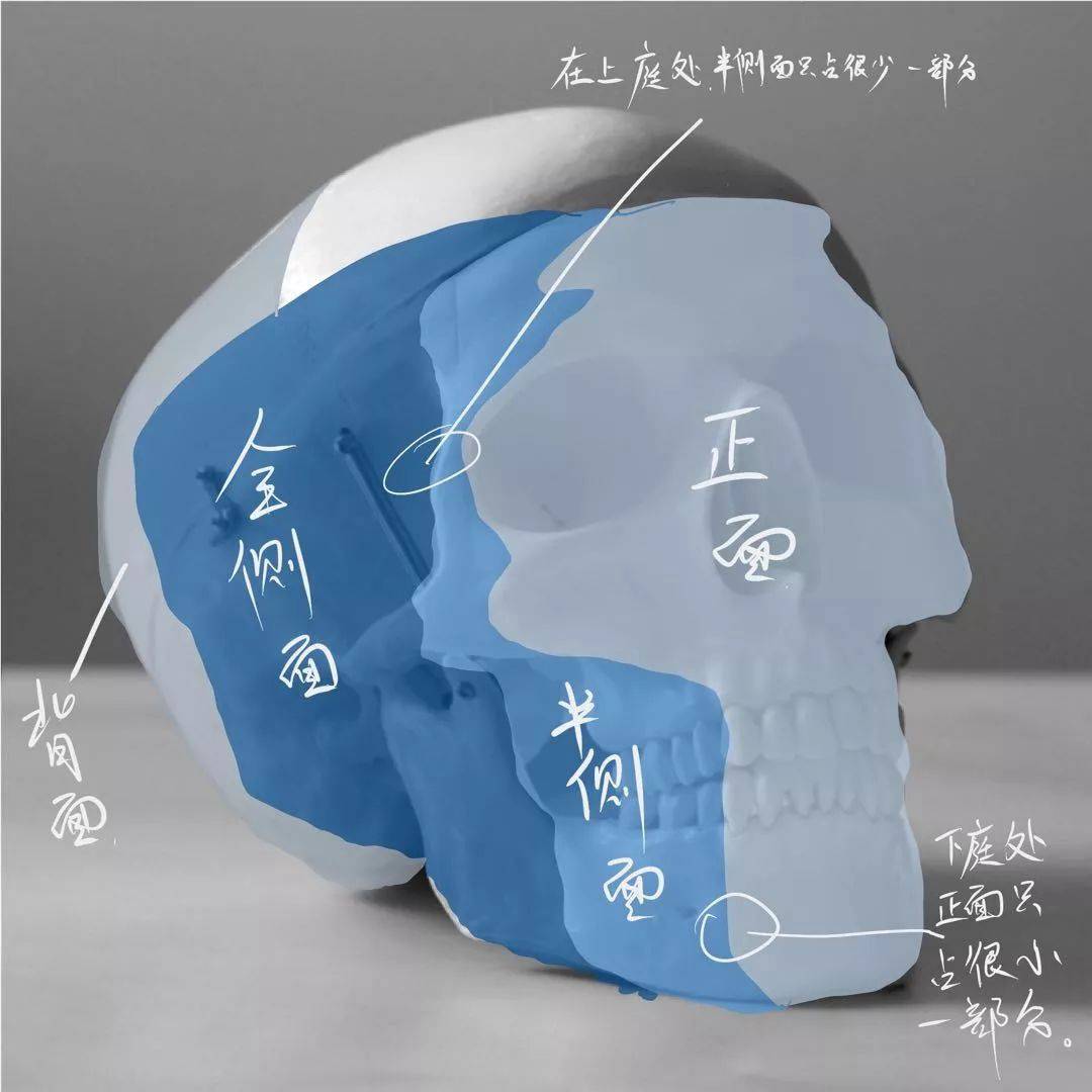 想要拿下校考素描頭像高分嗎？廣州十大畫室教你技巧,03