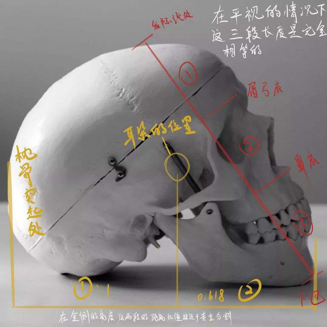想要拿下校考素描頭像高分嗎？廣州十大畫室教你技巧,06