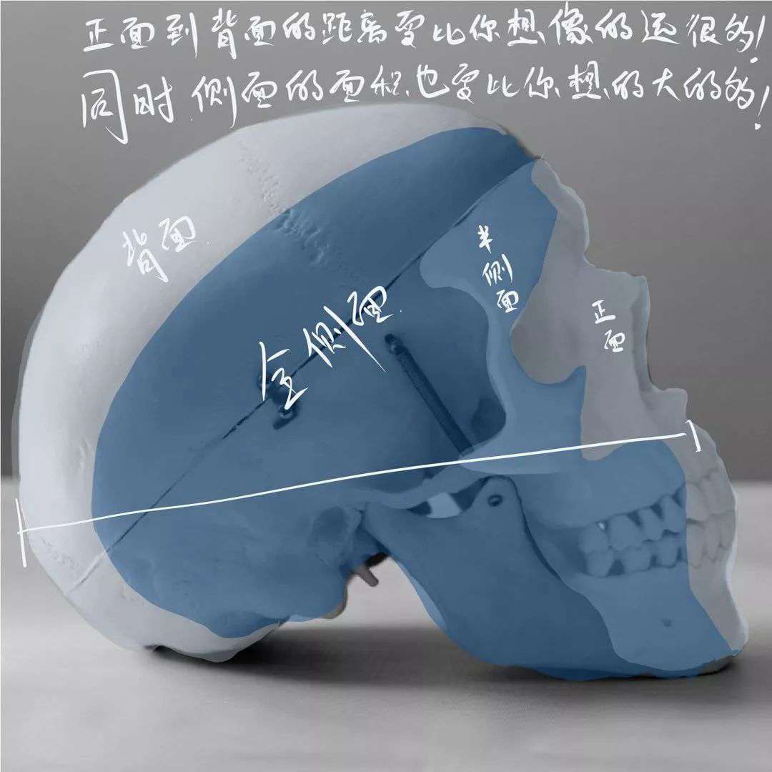 想要拿下校考素描頭像高分嗎？廣州十大畫室教你技巧,02