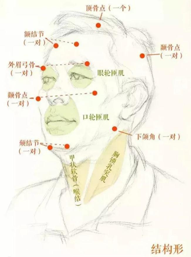 廣州排名前十畫室給你整理的干貨|教你畫一張高分素描頭像,04