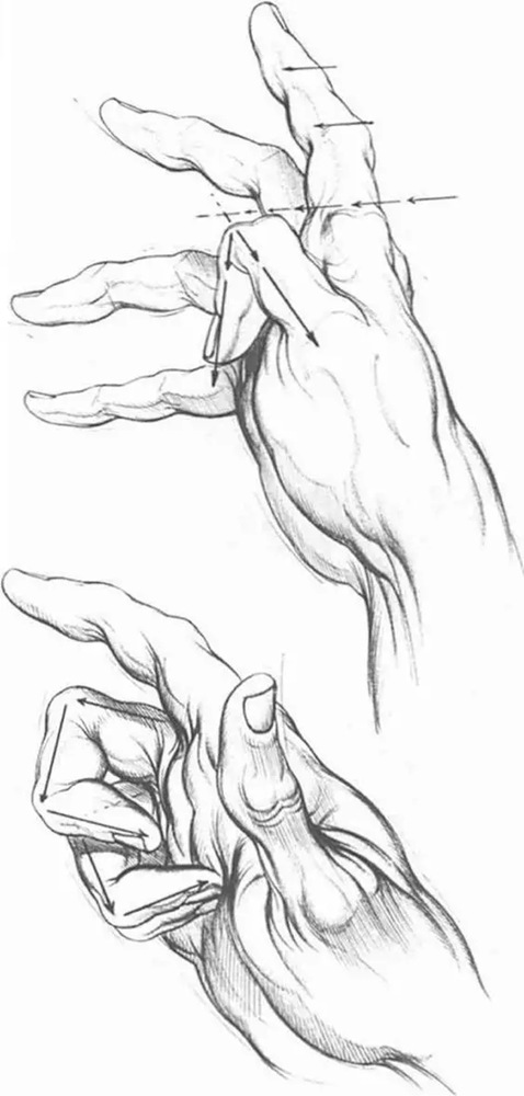 廣州畫室,廣州素描美術培訓畫室,廣州素描畫室,26