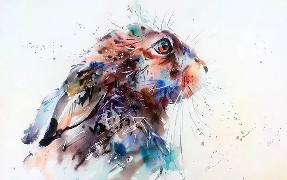 這樣的動物水彩畫廣州排名前十畫室覺得不能忍住笑,07