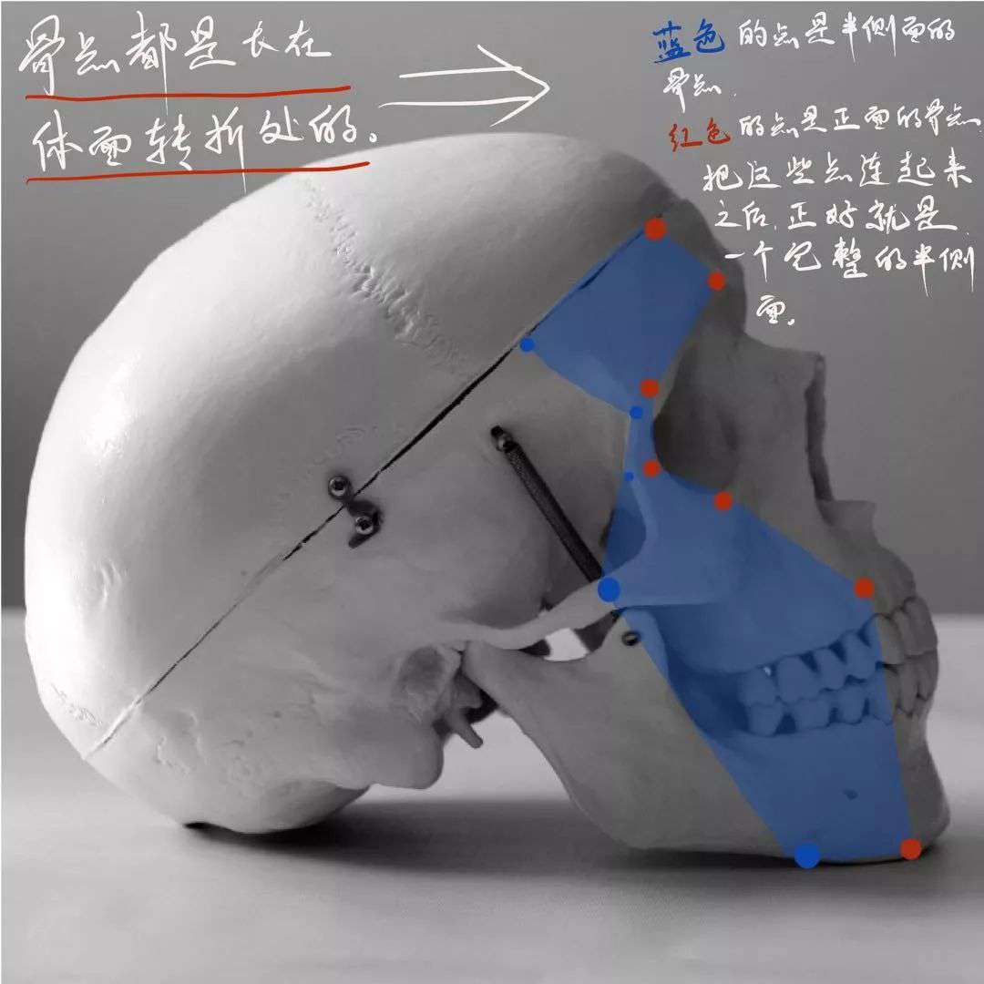 想要拿下校考素描頭像高分嗎？廣州十大畫室教你技巧,14