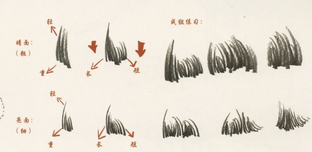 廣州畫室排名前五畫室干貨丨速寫頭發(fā)如何畫，這份步驟大概最完整,02