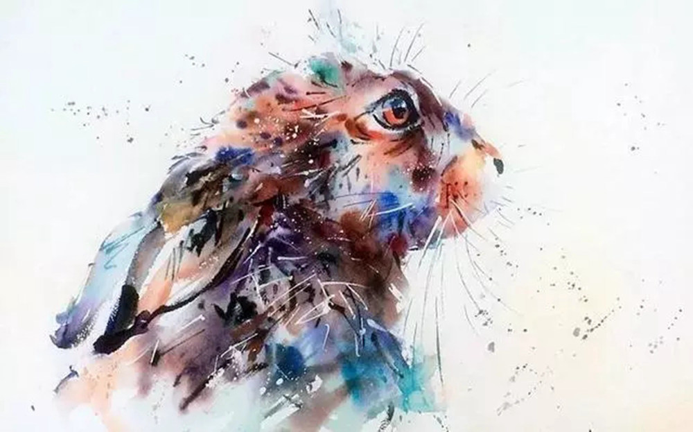 這樣的動物水彩畫廣州排名前十畫室覺得不能忍住笑,03