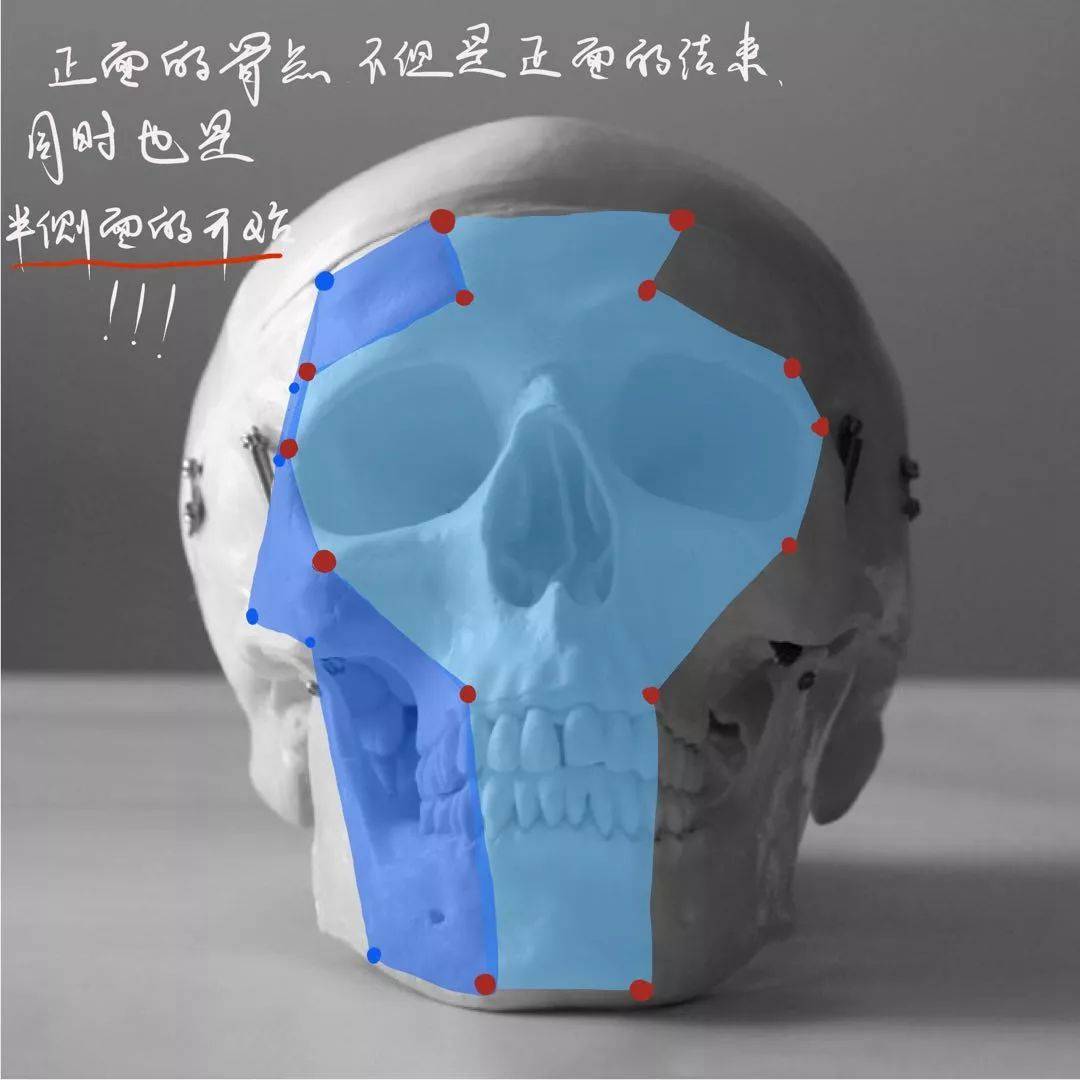 想要拿下校考素描頭像高分嗎？廣州十大畫室教你技巧,17