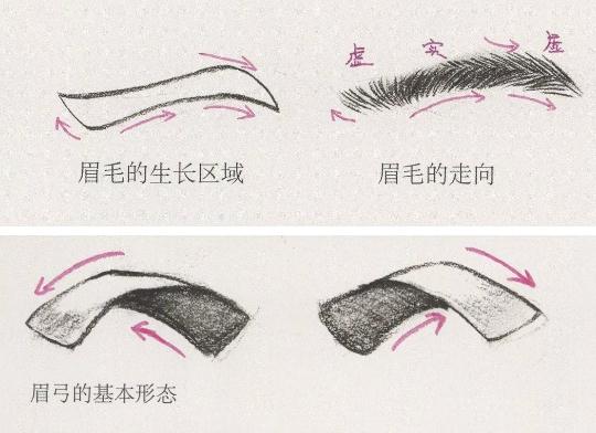 廣州美術(shù)培訓(xùn)畫室整理的速寫五官局部之眼睛的畫法,02