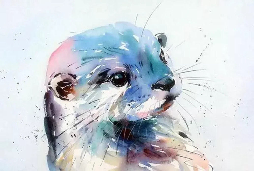 這樣的動物水彩畫廣州排名前十畫室覺得不能忍住笑,01