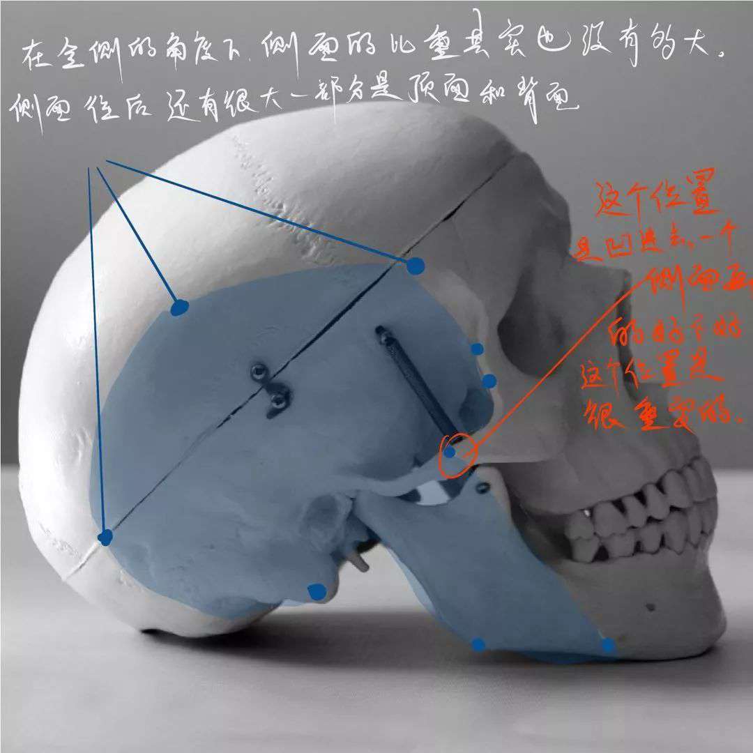 想要拿下校考素描頭像高分嗎？廣州十大畫室教你技巧,20
