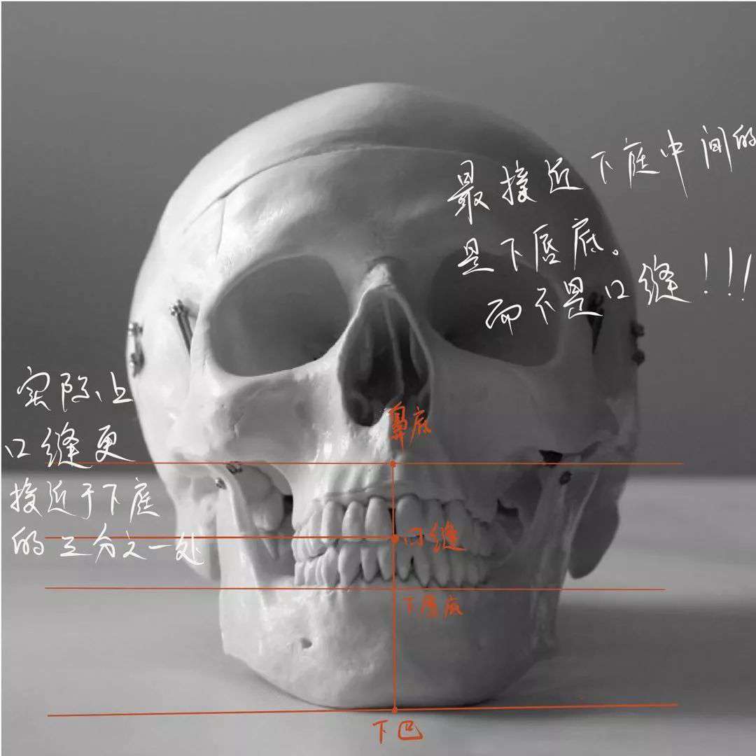 想要拿下校考素描頭像高分嗎？廣州十大畫室教你技巧,09