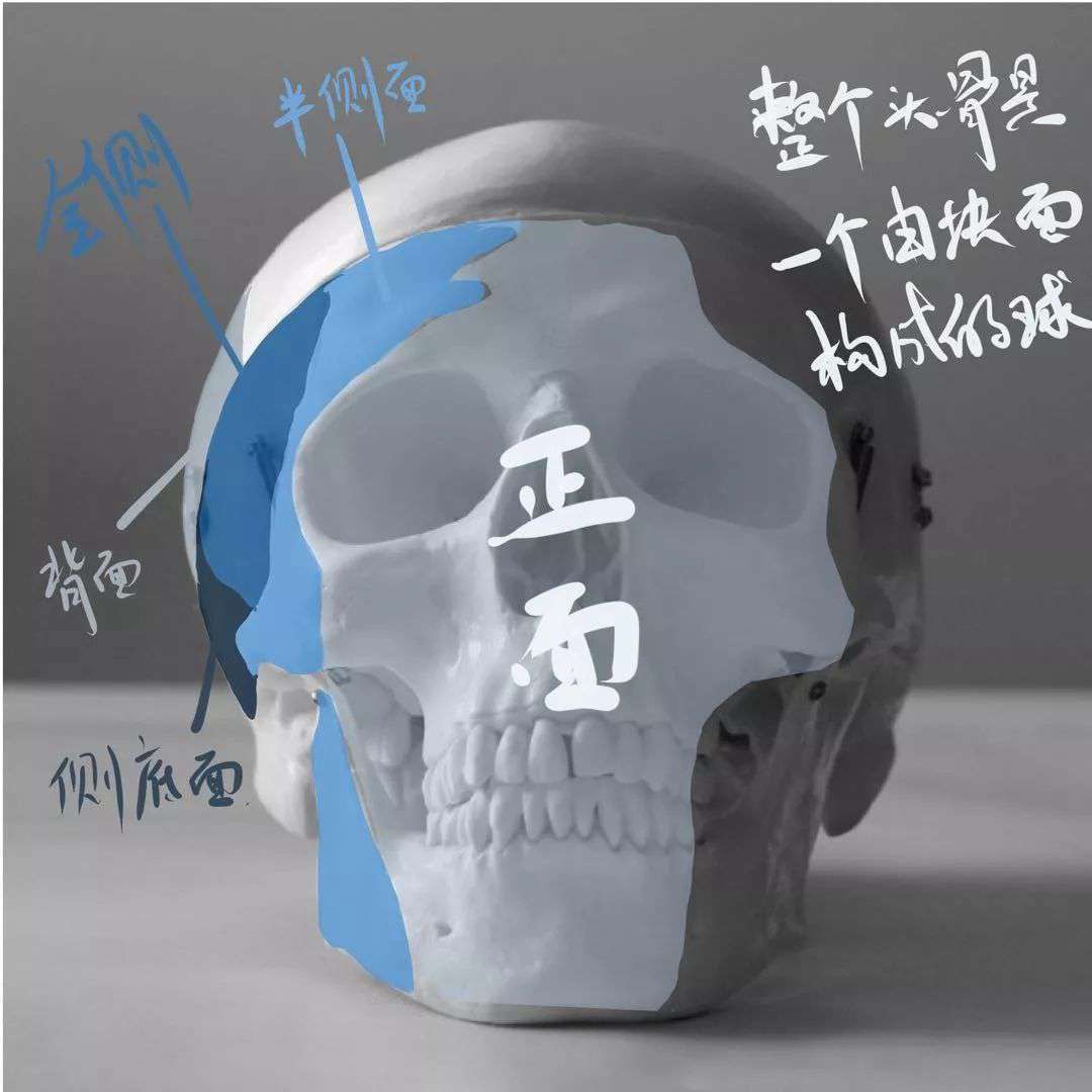 想要拿下校考素描頭像高分嗎？廣州十大畫室教你技巧,01