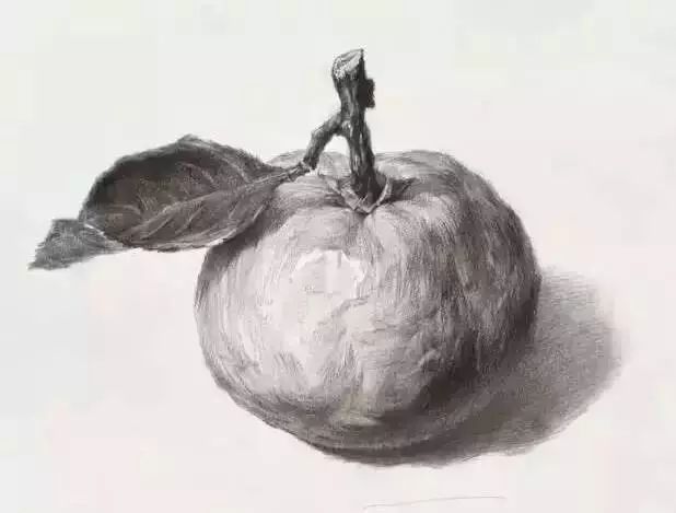 廣州美術高考班告訴你吃透這7類素描靜物質感，聯考不用怕了,01