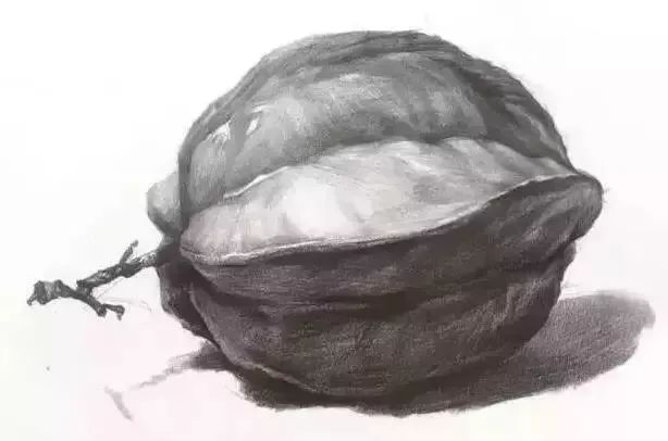 廣州美術高考班告訴你吃透這7類素描靜物質感，聯考不用怕了,08