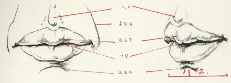 廣州前十畫室超強(qiáng)干貨丨速寫局部之眼耳鼻嘴的刻畫,07