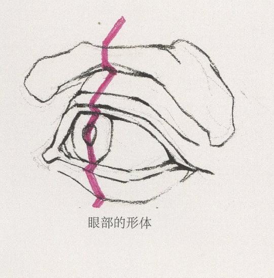 廣州美術(shù)培訓(xùn)畫室整理的速寫五官局部之眼睛的畫法,04
