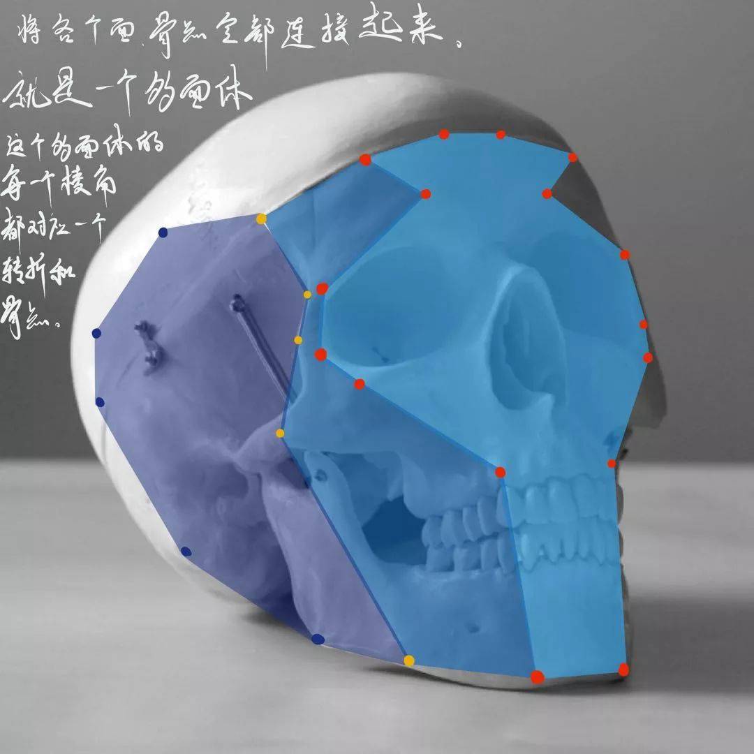 想要拿下校考素描頭像高分嗎？廣州十大畫室教你技巧,16